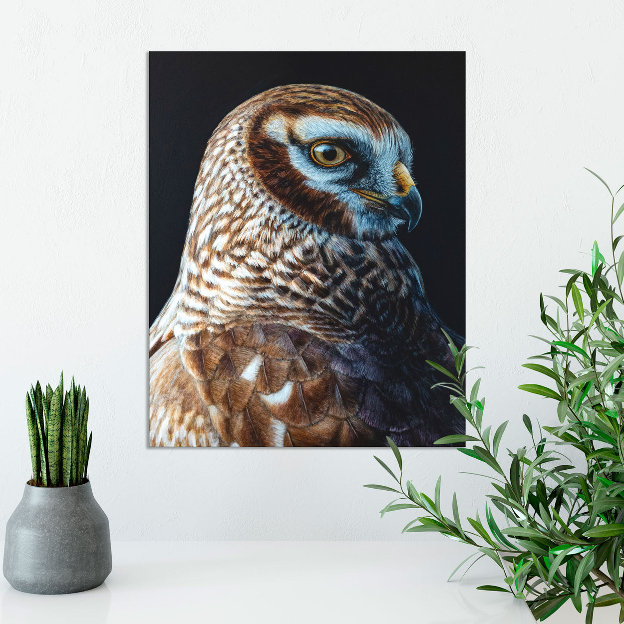 Painting of a brown hen harrier bird on a wall 