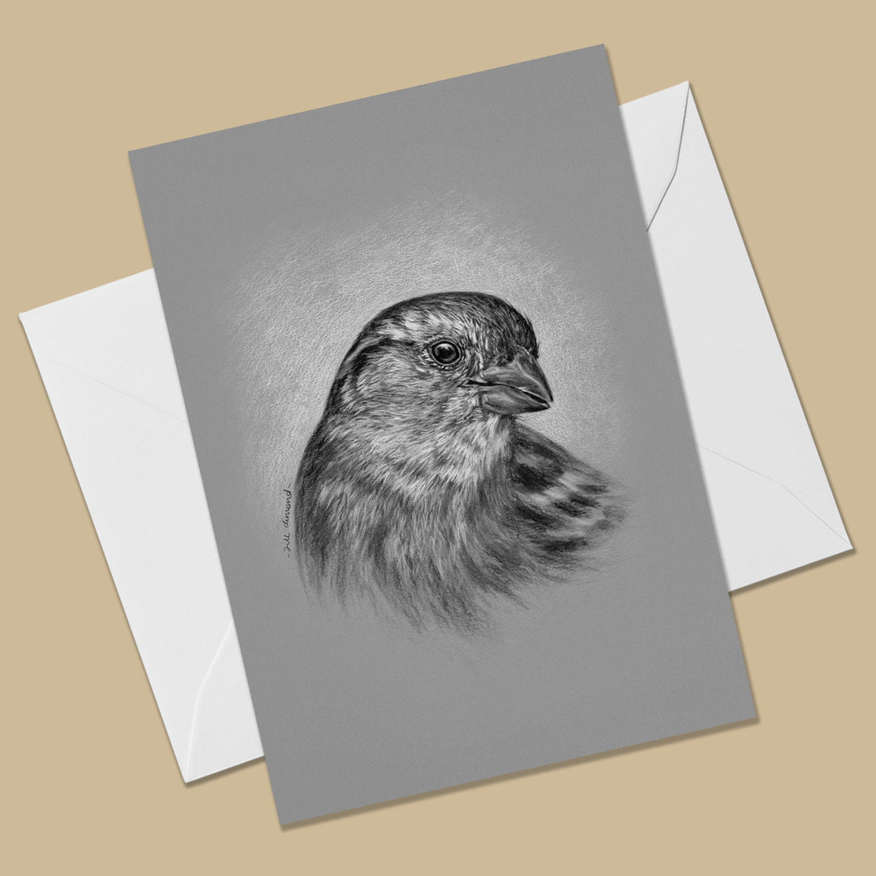 Female House Sparrow Greeting Card (Passer Domesticus)