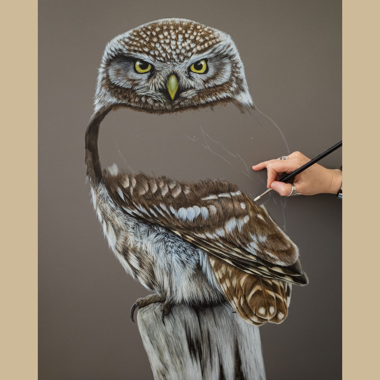 Hand holding a paintbrush over a part-completed painting of a little owl sat on a post
