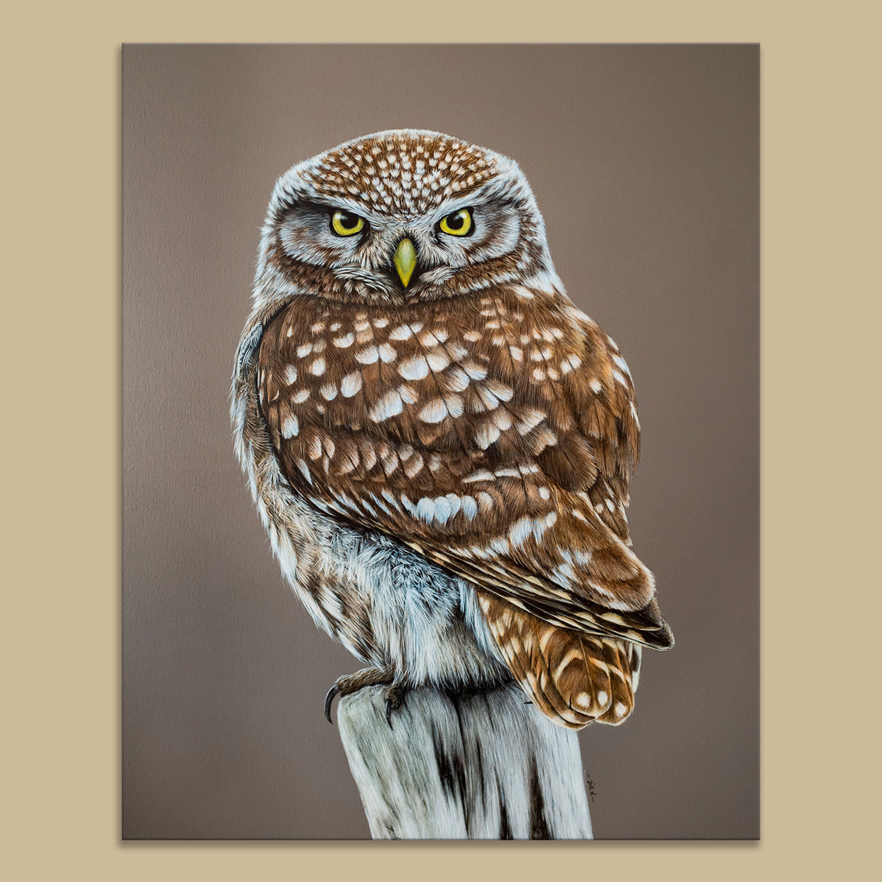 Painting on a canvas of a little owl sitting on a tree stump