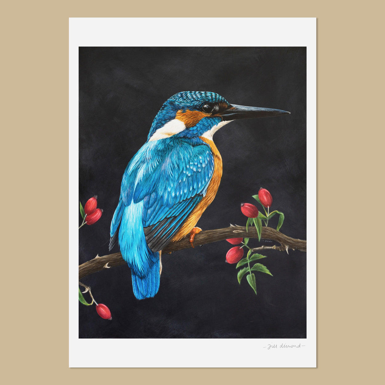 White art print with the image of a colourful painting of a male common kingfisher bird facing to the right, sat on a branch with rose hips.  The painting has a black background.