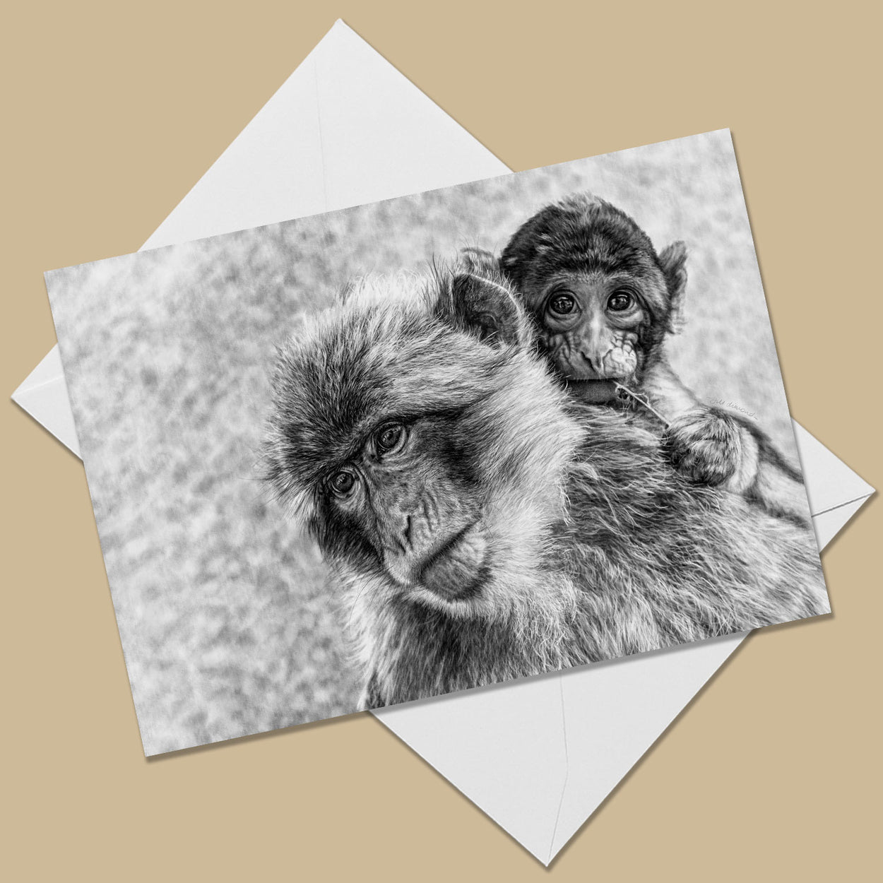 Greeting card with the image of a black and white drawing of a barbary macaque mother holding her baby.  The card is on top of a white envelope.