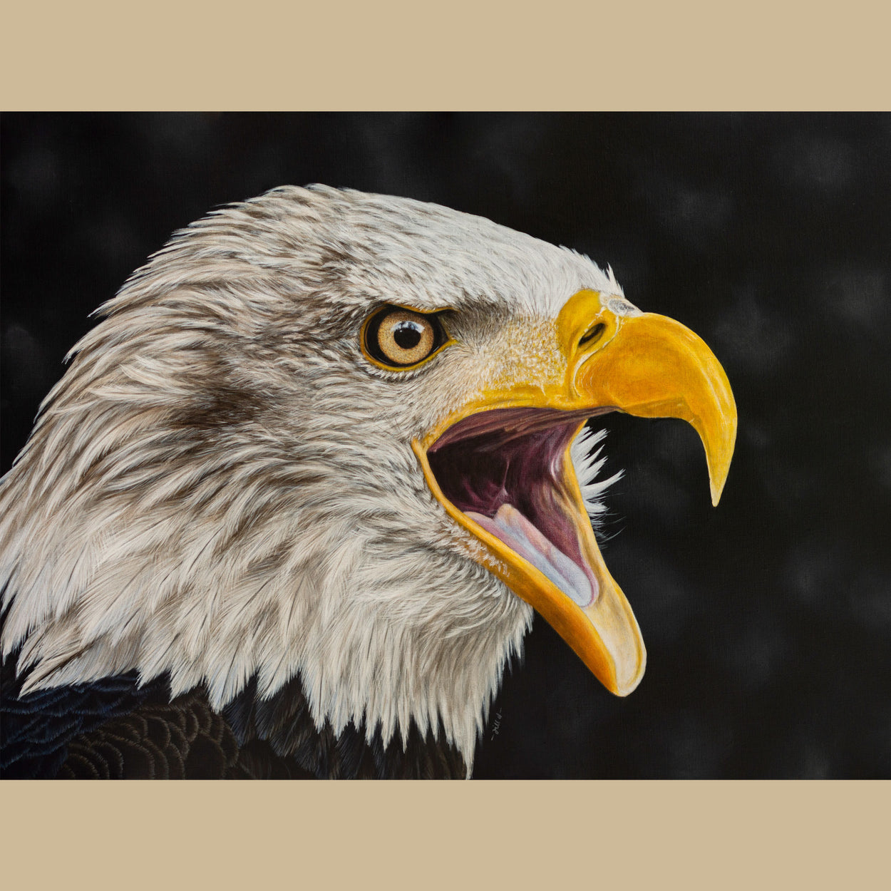 Bald eagle painting art print by Jill Dimond