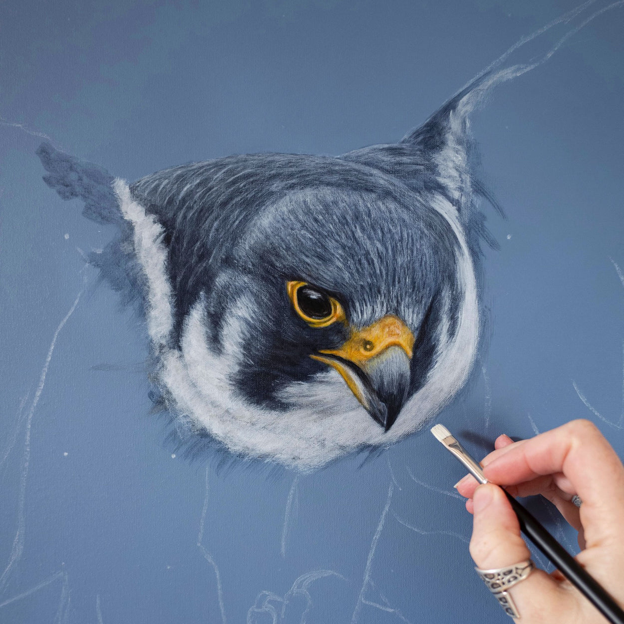 Image of a hand holding a paintbrush over a part-completed peregrine falcon painting