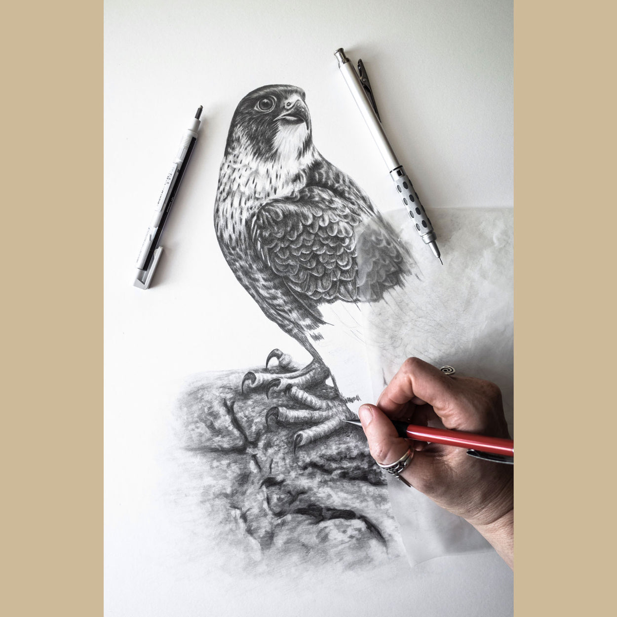 Image of a hand holding a pencil over an incomplete drawing of a peregrine falcon on white paper