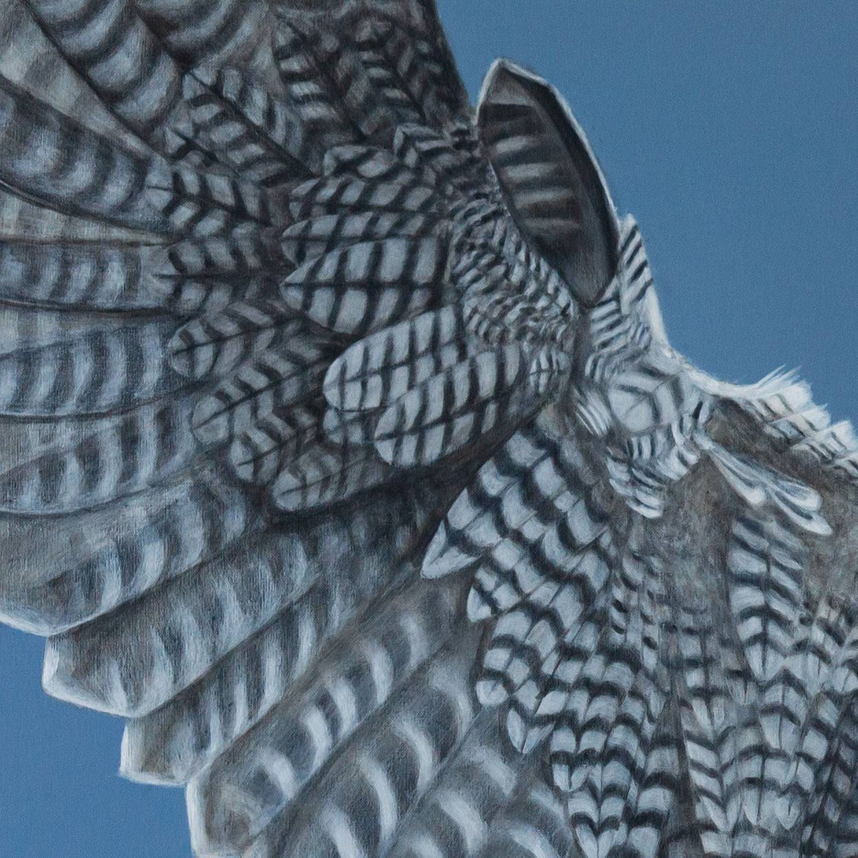 Close up of a wing on a peregrine falcon painting