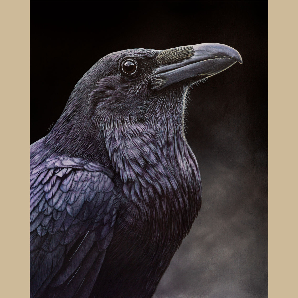 Raven fine art print by Jill Dimond