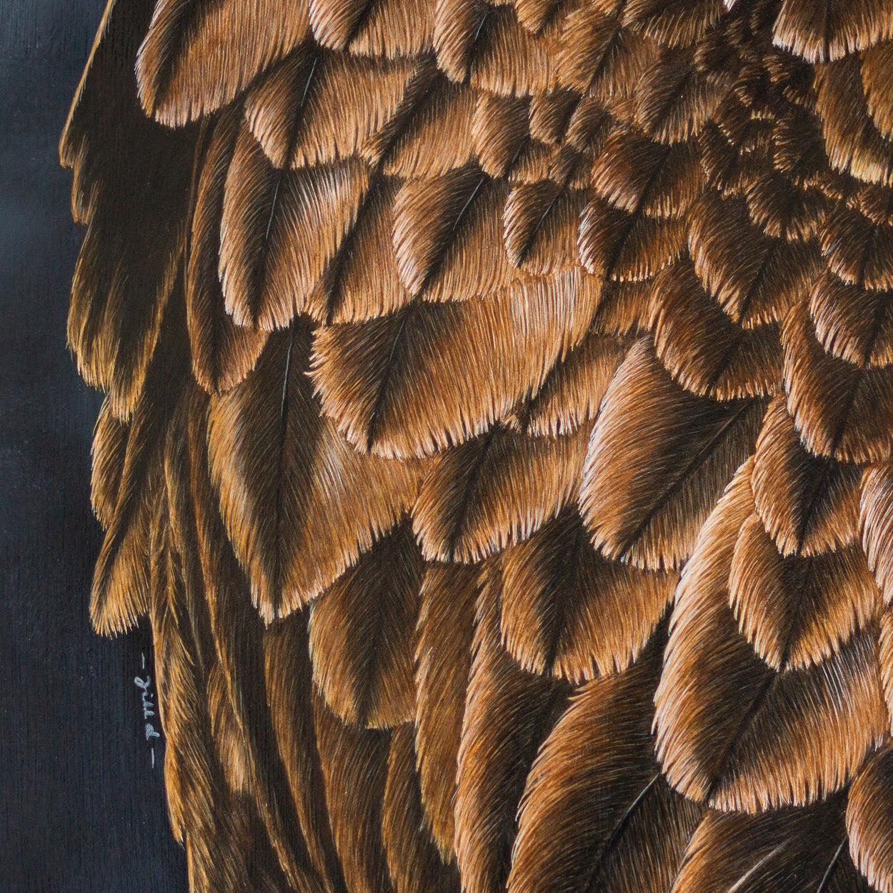 Red Kite Portrait Painting Close-up 4 - Jill Dimond