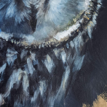 Close-up of part of a short-eared owl painting by Jill Dimond featuring part of its face and expressive feathers