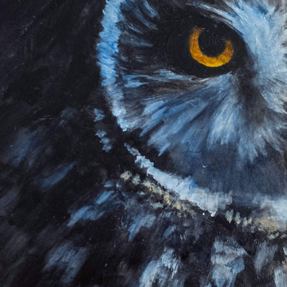 Close-up of a short-eared owl's eye from a painting by Jill Dimond, with a painterly feather texture