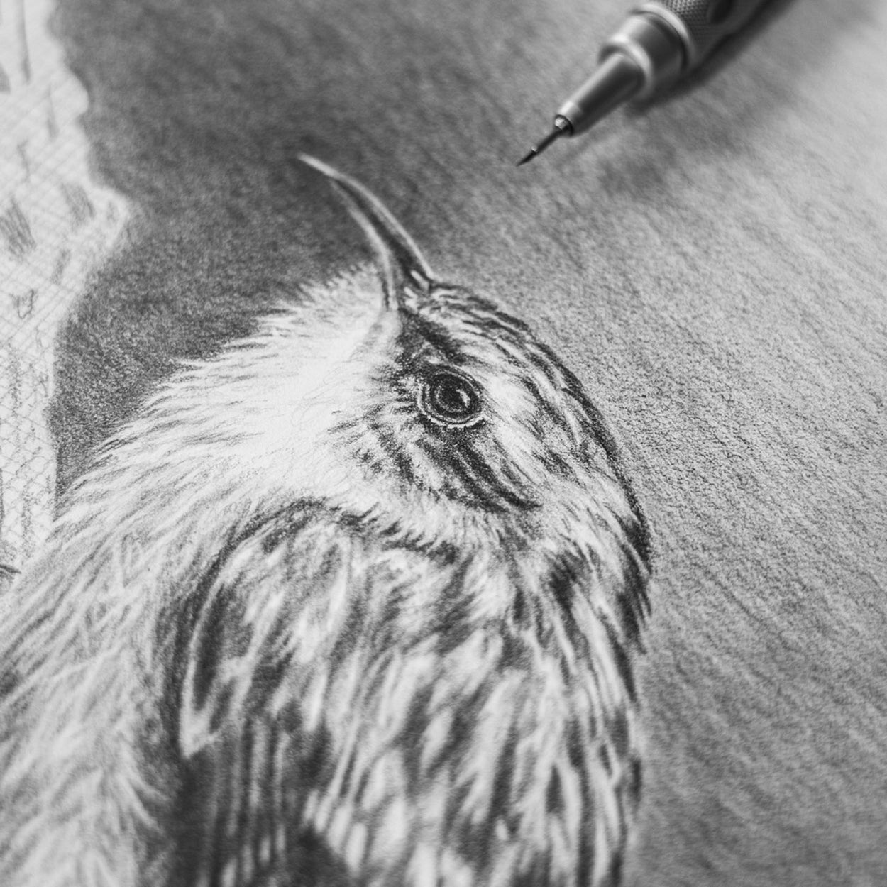 Pencil resting on paper with drawing in progress of a small bird's head