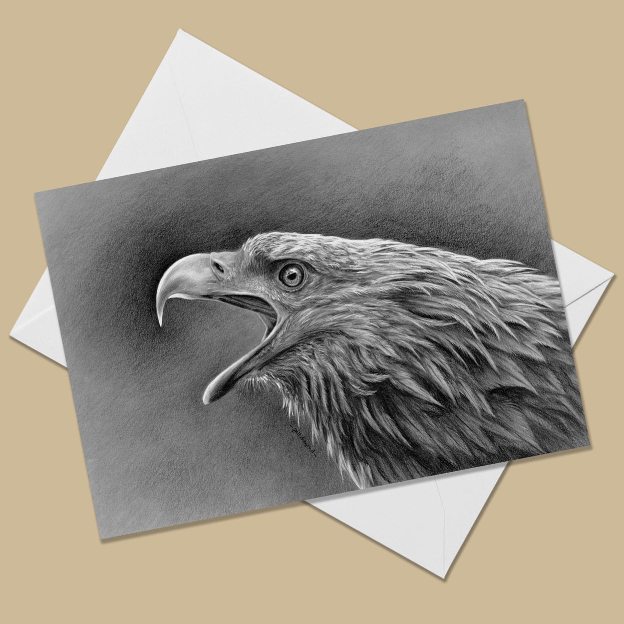 Greeting card with the image of a grey and white charcoal drawing of a white-tailed eagle with its mouth open and facing to the left.  The card is on top of a white envelope