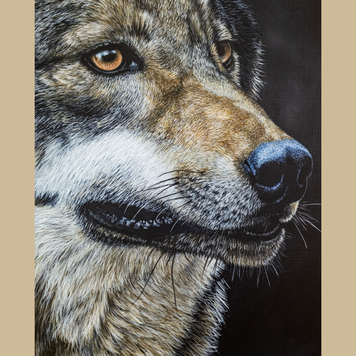 Close-up of the nose and eyes of a wolf painting by Jill Dimond