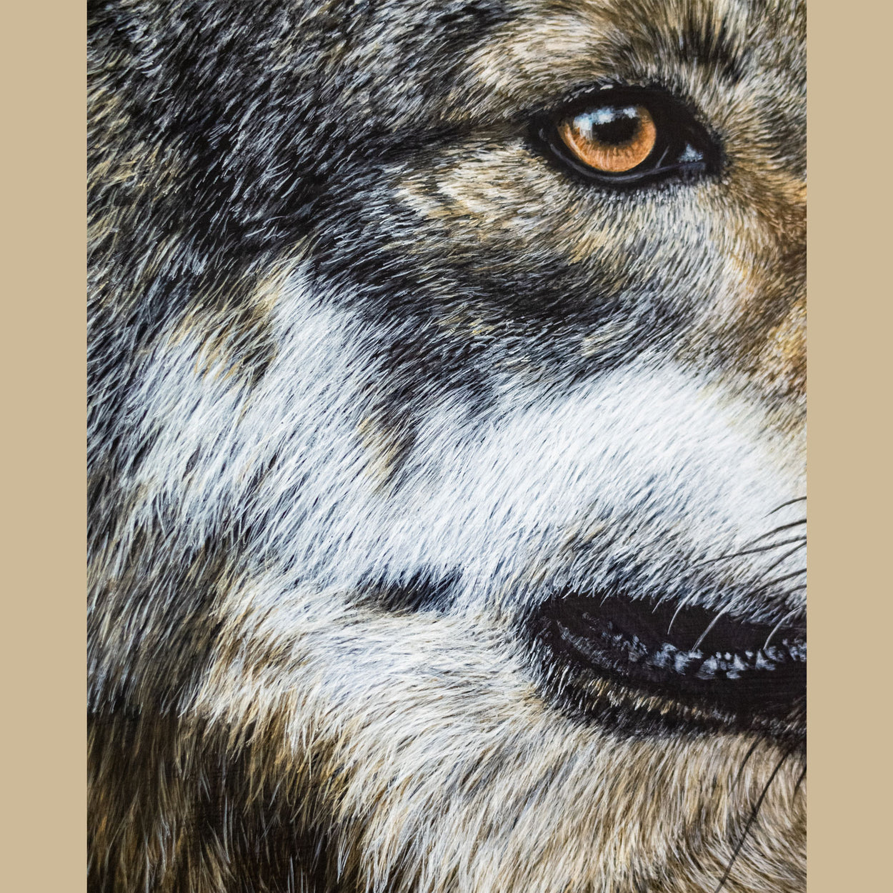 Close-up of the face of a wolf painting by Jill Dimond