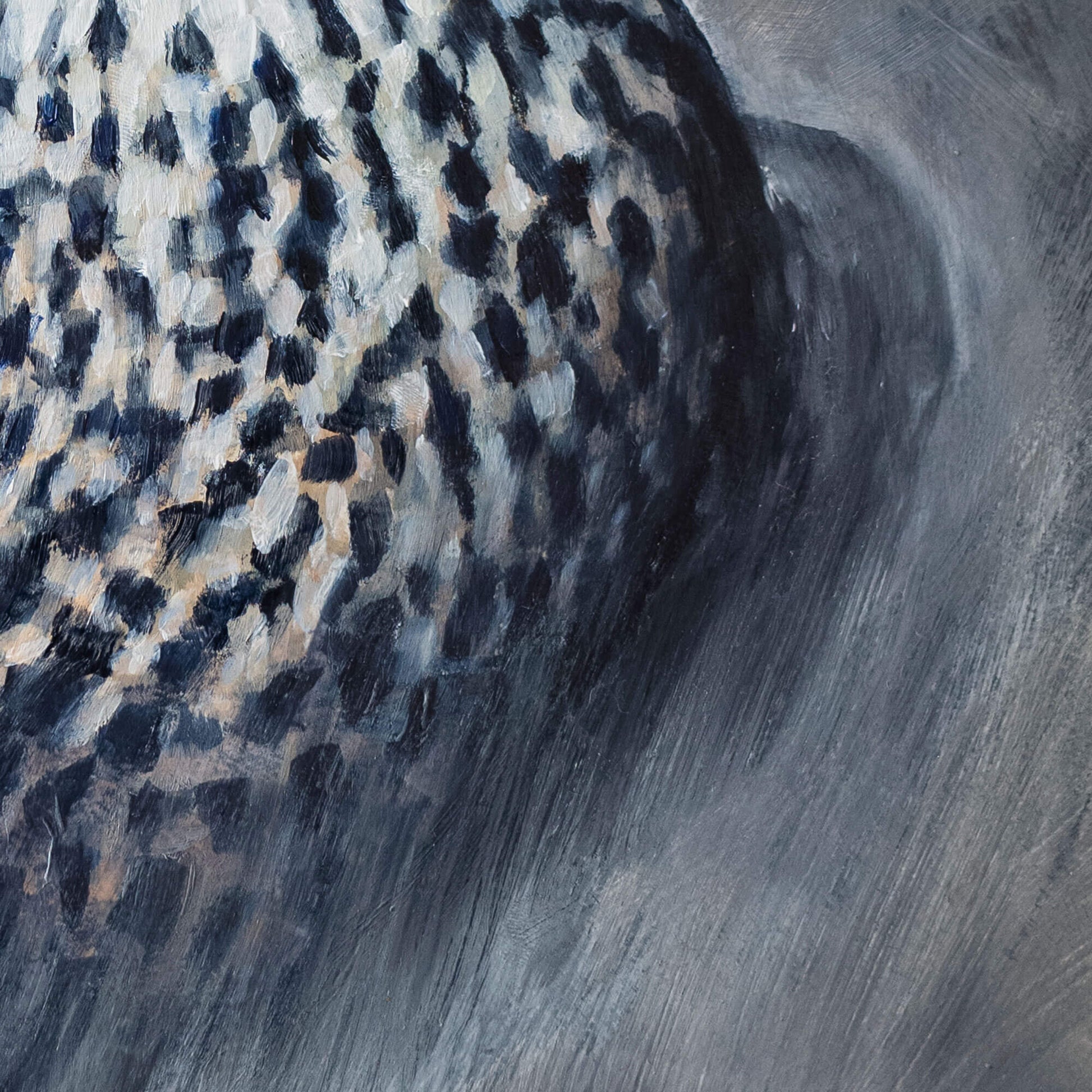 Close-up o f a painting of a peregrine falcon chest feathers with expressive brushstrokes by Jill Dimond