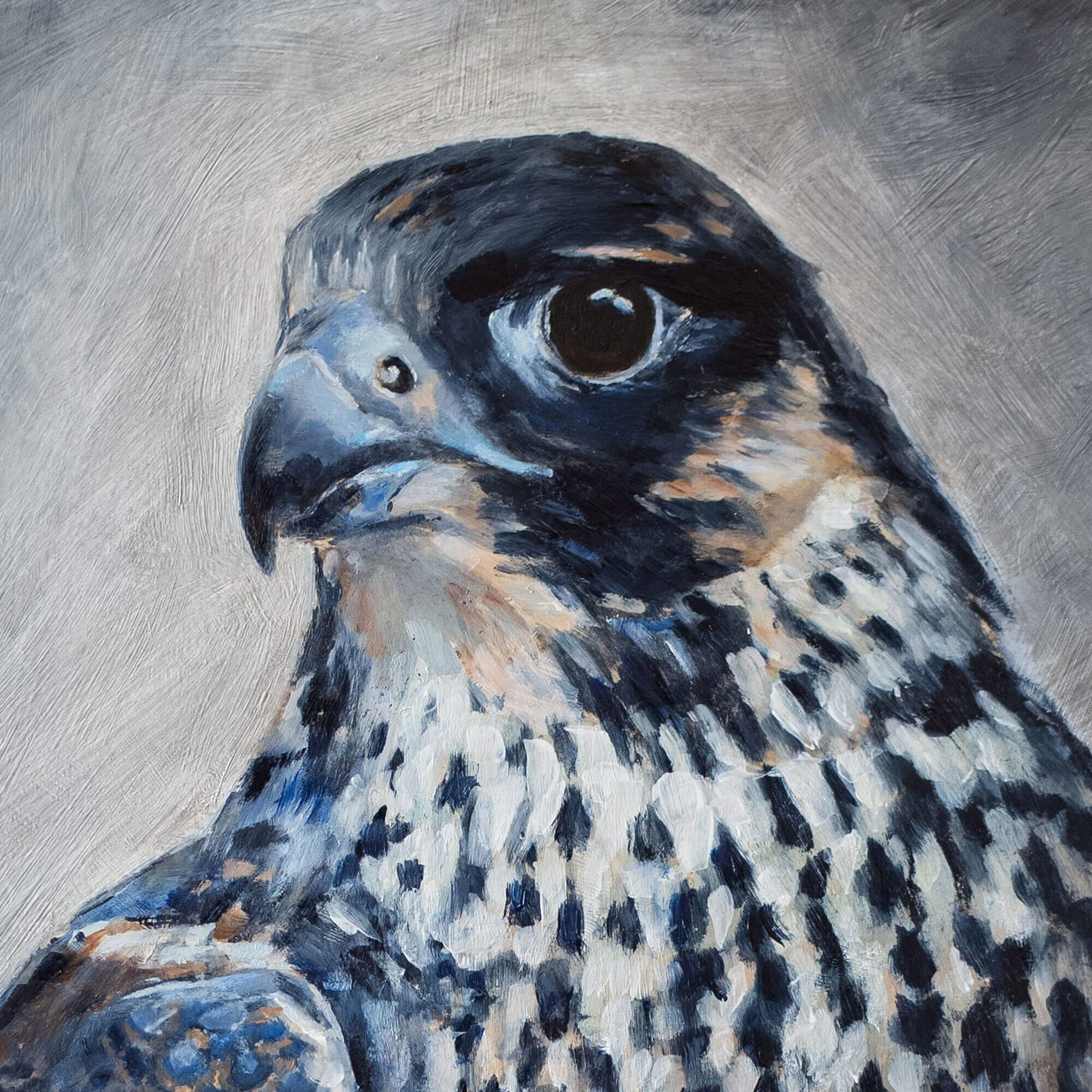 Close-up of a painted peregrine falcon's face on a background of expressive brushstrokes by Jill Dimond