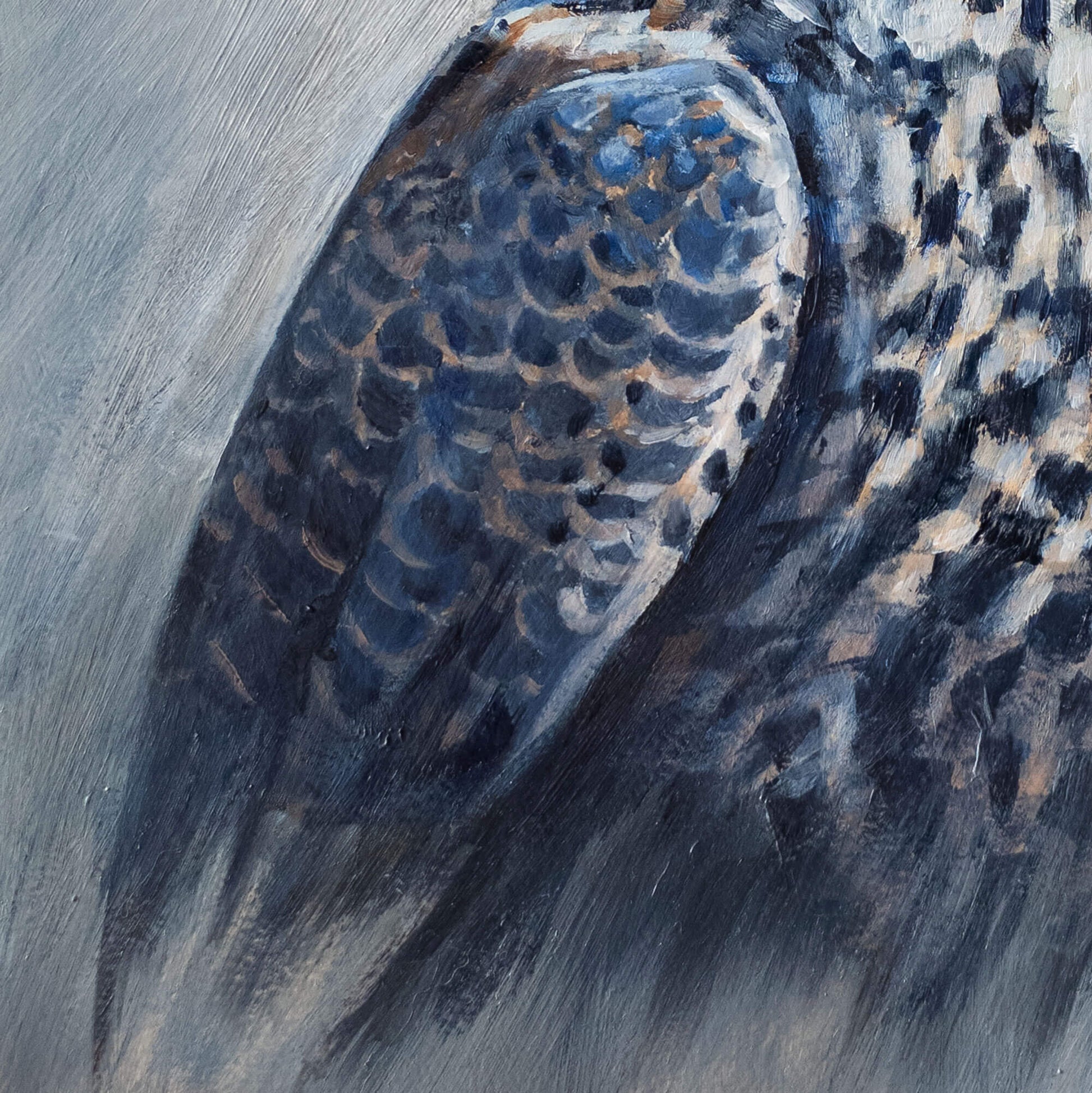 Close-up of a painting of a peregrine falcon wing and feathers with expressive brushstrokes by Jill Dimond