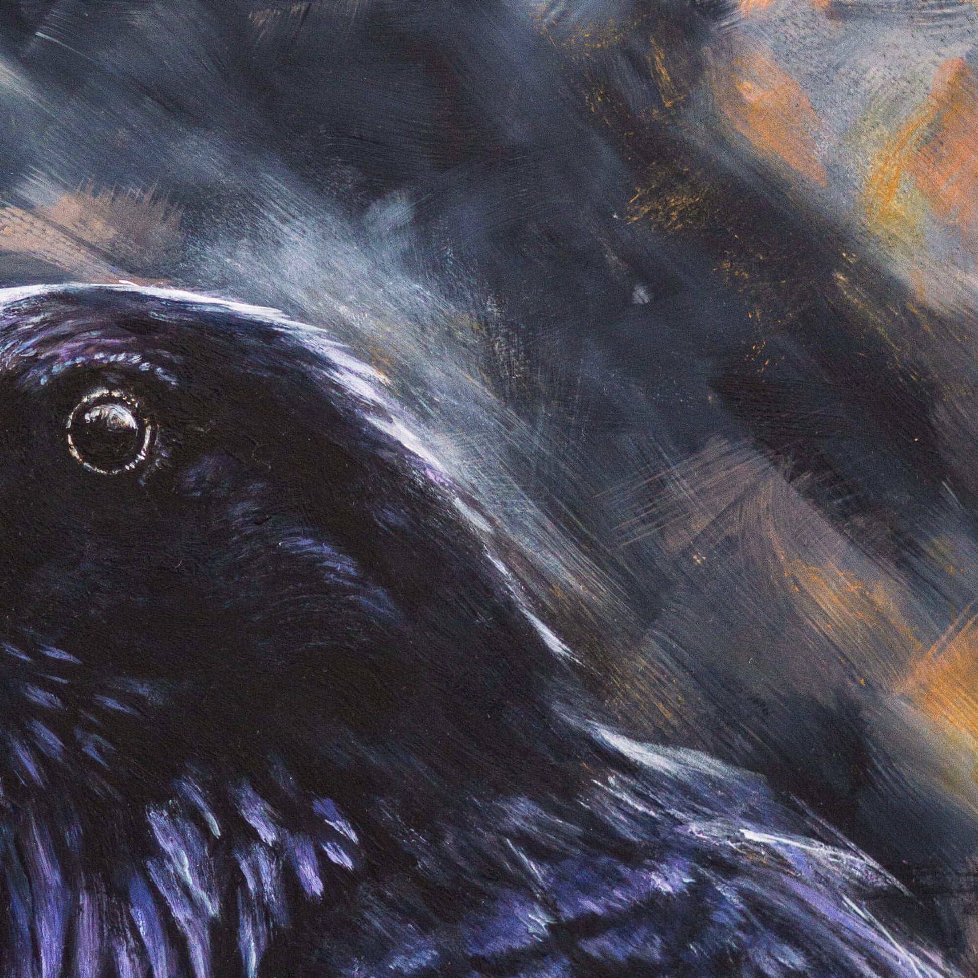 Original raven painting close-up with eye and feather details, by bird artist Jill Dimond.