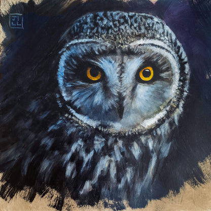 Short-eared owl original oil painting with expressive feathers and bright yellow eyes on a dark painted background by bird artist Jill Dimond.