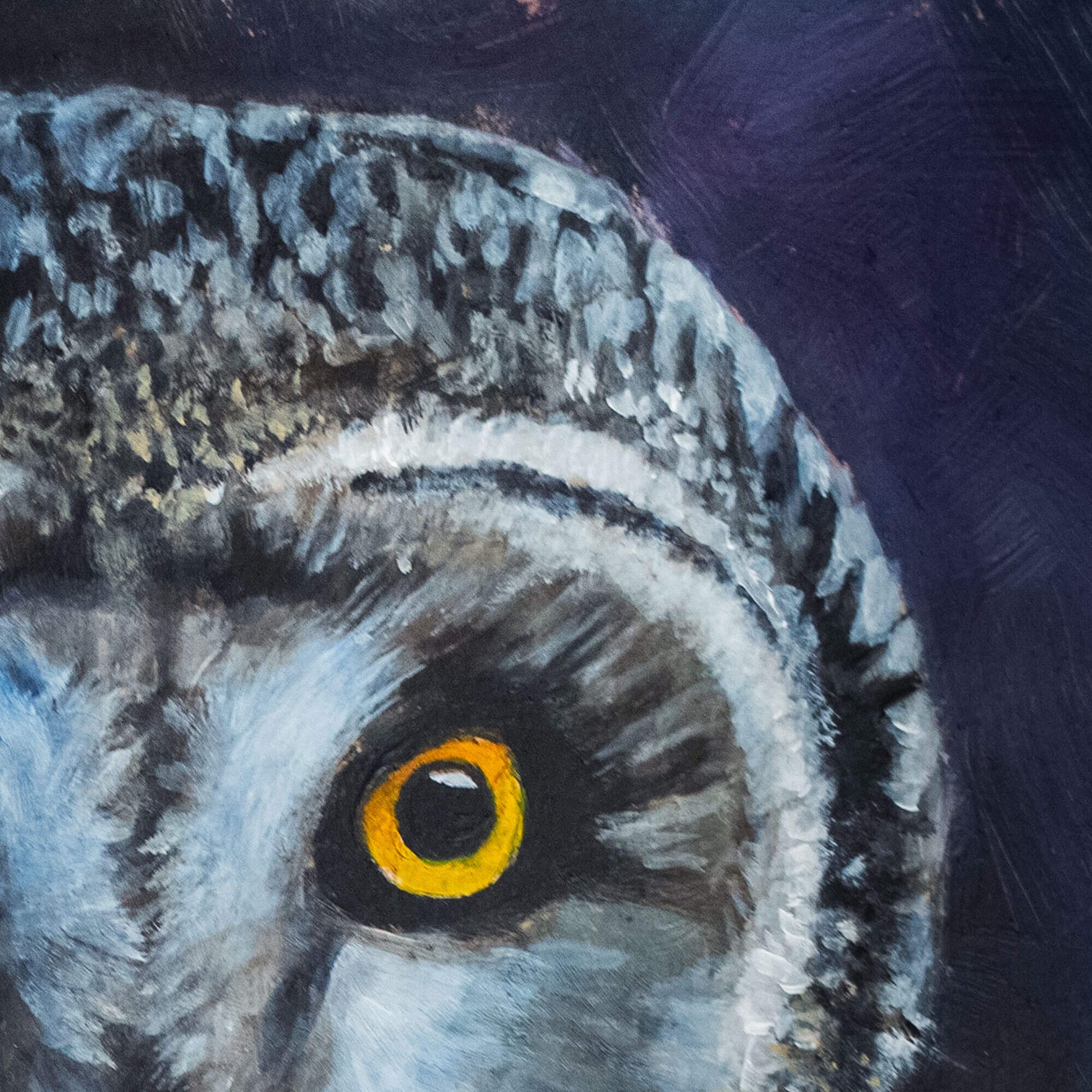 Close-up of a painting of an owl's eye with feather texture on a dark background by Jill Dimond