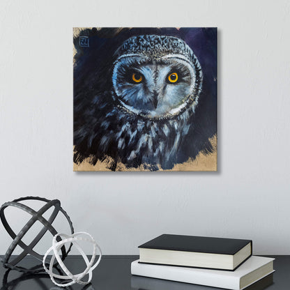 Painting of a short-eared owl by Jill Dimond on a wall with books and decorative items below