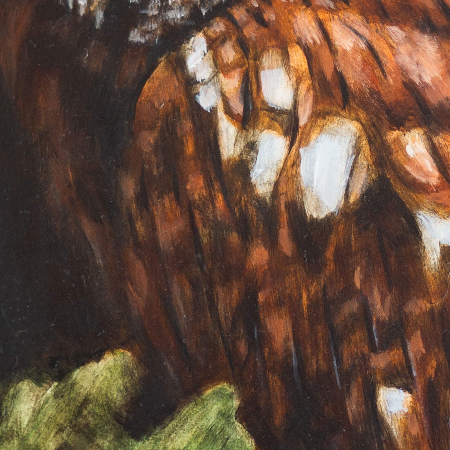 Tawny owl original oil painting by bird artist Jill Dimond, detail close-up of wing feathers