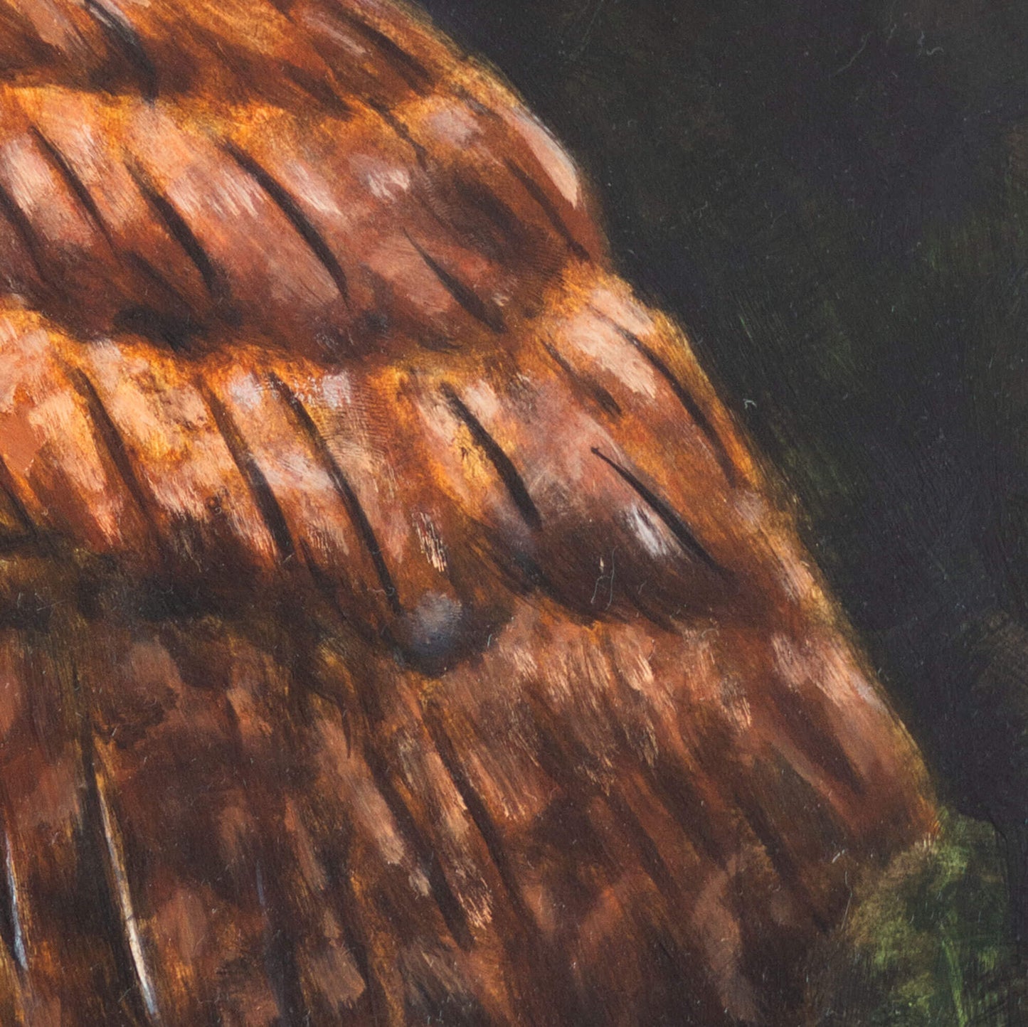 Tawny owl original oil painting detail close-up of painted feathers