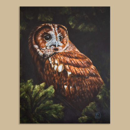 Tawny owl original oil painting on cradled board lying flat on light brown background, by bird of prey artist Jill Dimond