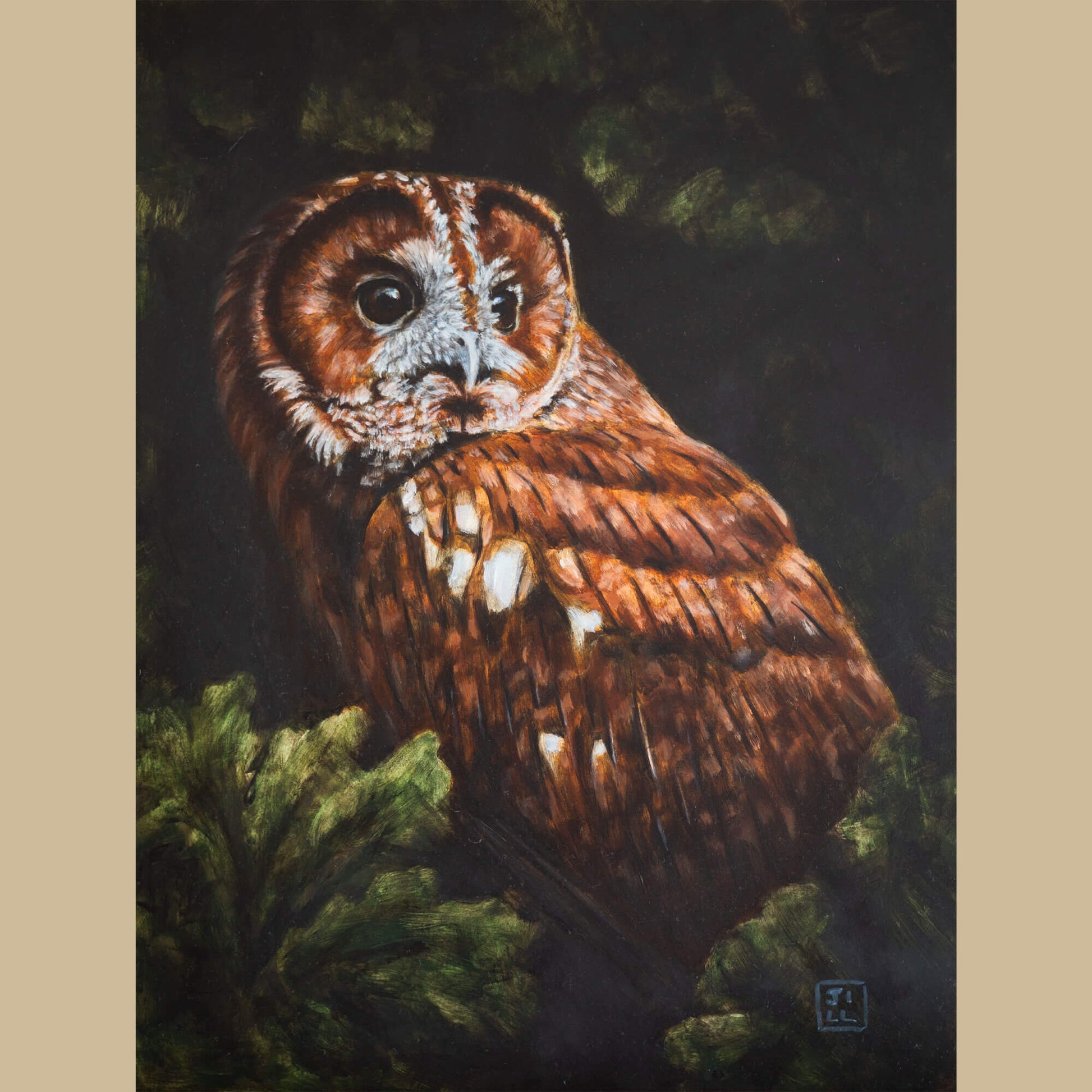 Tawny owl original oil painting by bird artist Jill Dimond, featuring the owl appearing in the dark in among leaves