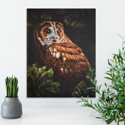 Tawny owl original oil painting on cradled board displayed on a white wall near a white surface with two plants, by bird artist Jill Dimond