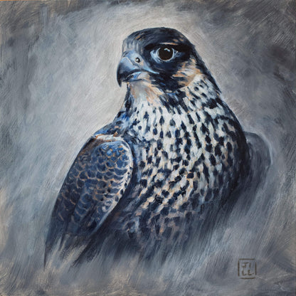 Original young peregrine falcon oil painting with muted greys and blues and expressive brushstrokes
