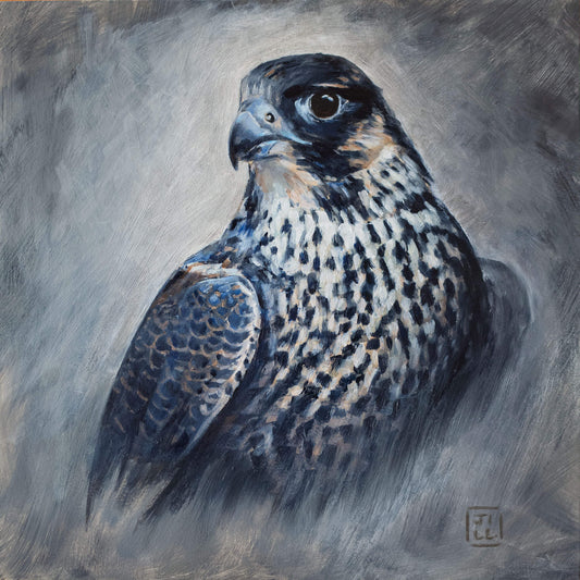 Original young peregrine falcon oil painting with muted greys and blues and expressive brushstrokes
