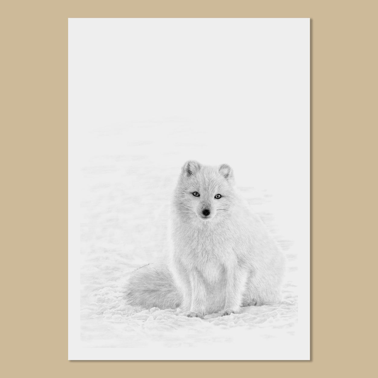 Premium Photo | Pencil sketch cute arctic fox animal drawing ai generated