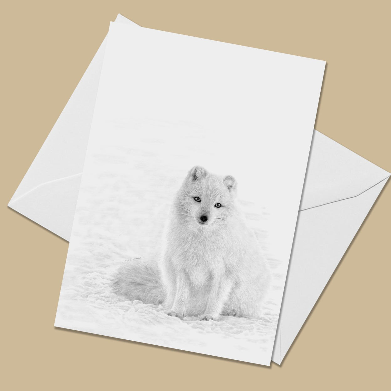 Arctic Fox Greeting Card