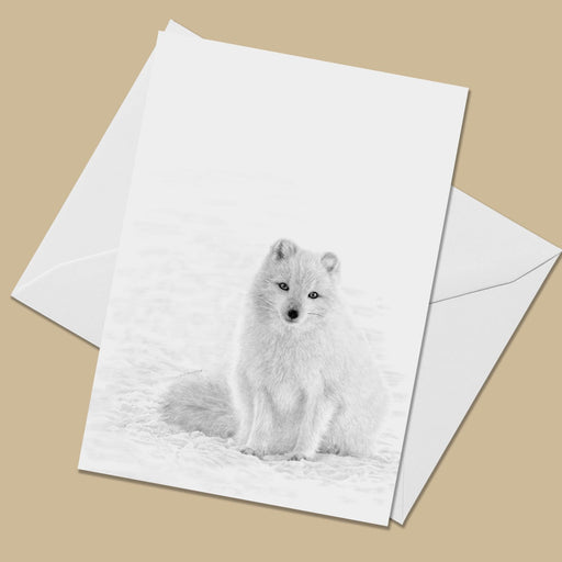 Arctic Fox Greeting Card