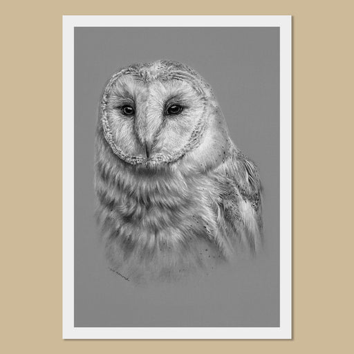 Barn Owl Art Prints - The Thriving Wild-