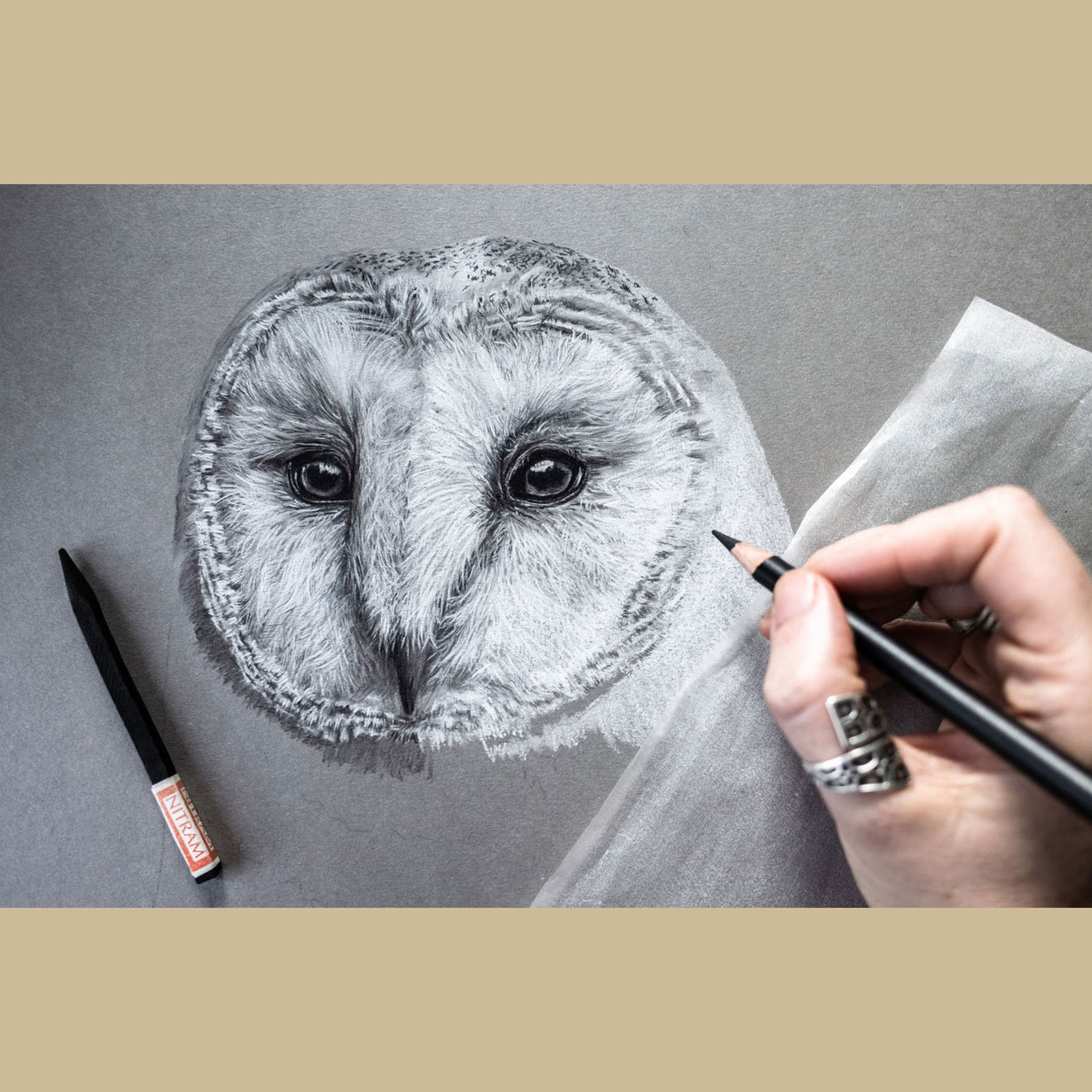 Barn Owl Charcoal Drawing in Progress - The Thriving Wild