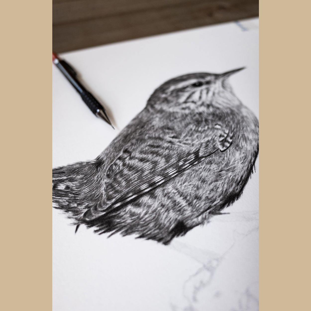 Bird Pencil Drawing - The Thriving Wild