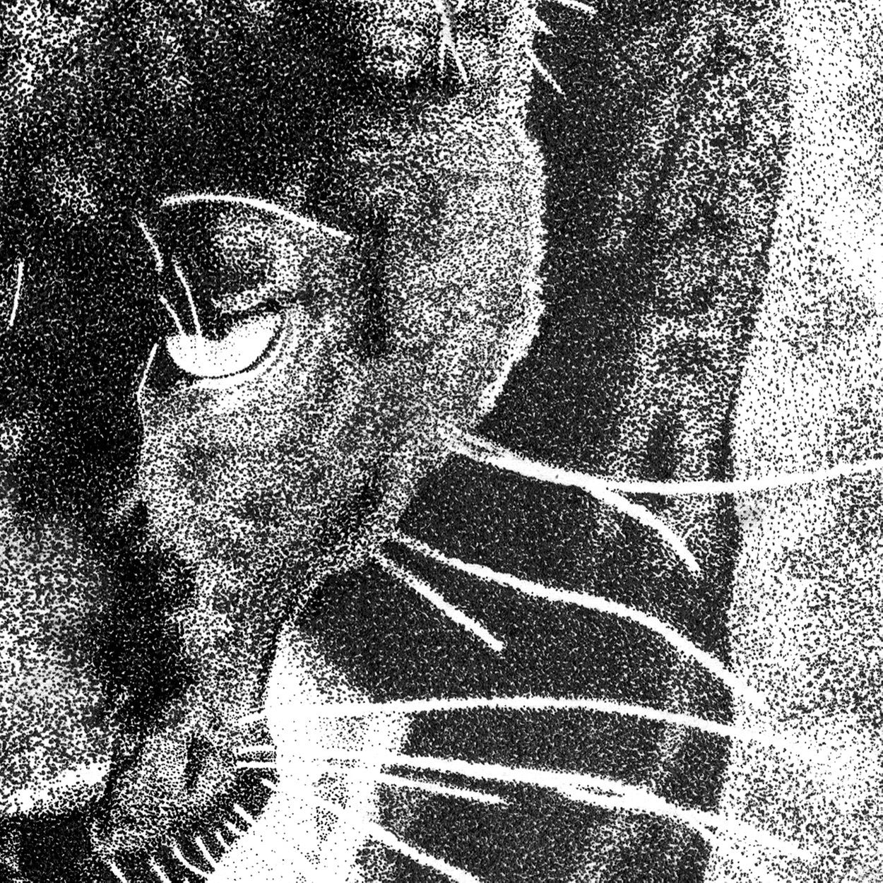Black Leopard Pen Dotwork Close-up - The Thriving Wild