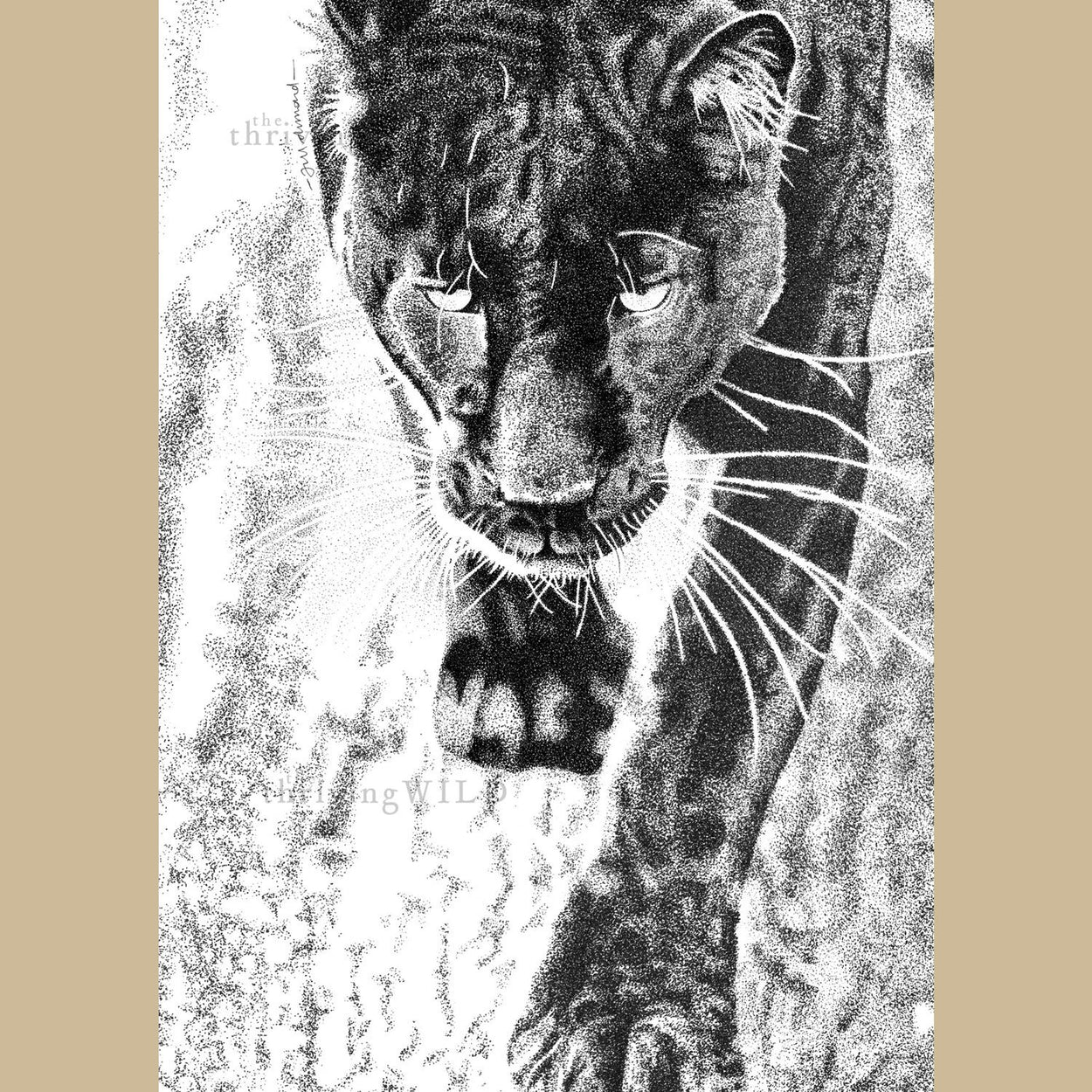 Black Leopard Pen Stippling Drawing - The Thriving Wild