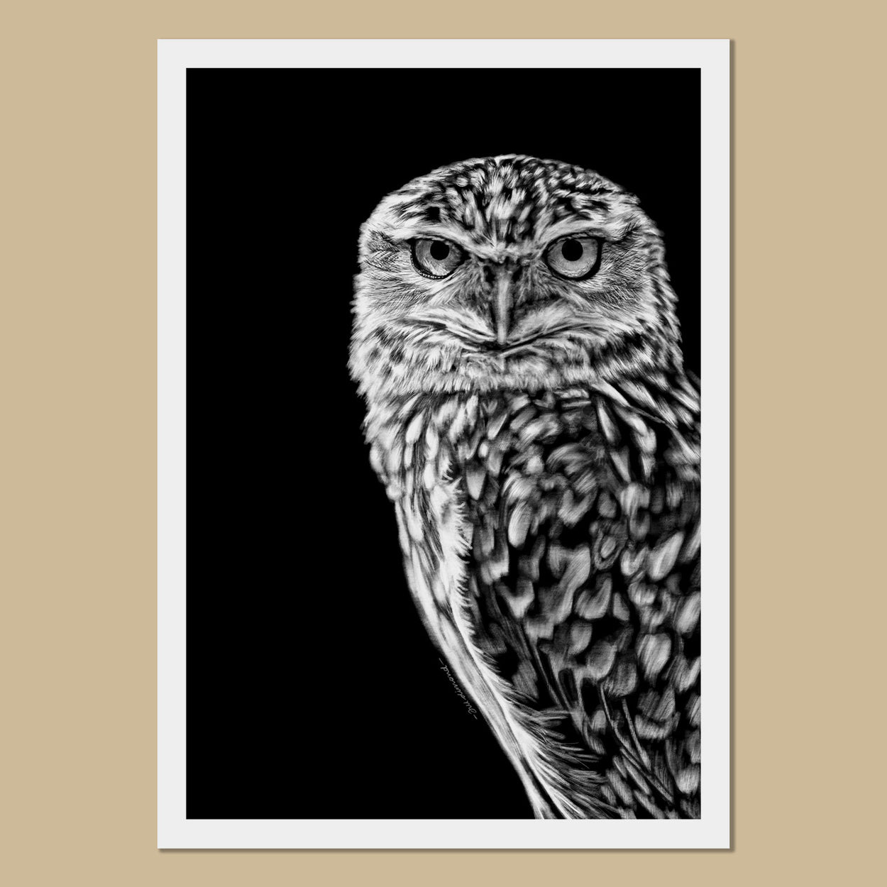 Burrowing Owl Art Prints - The Thriving Wild