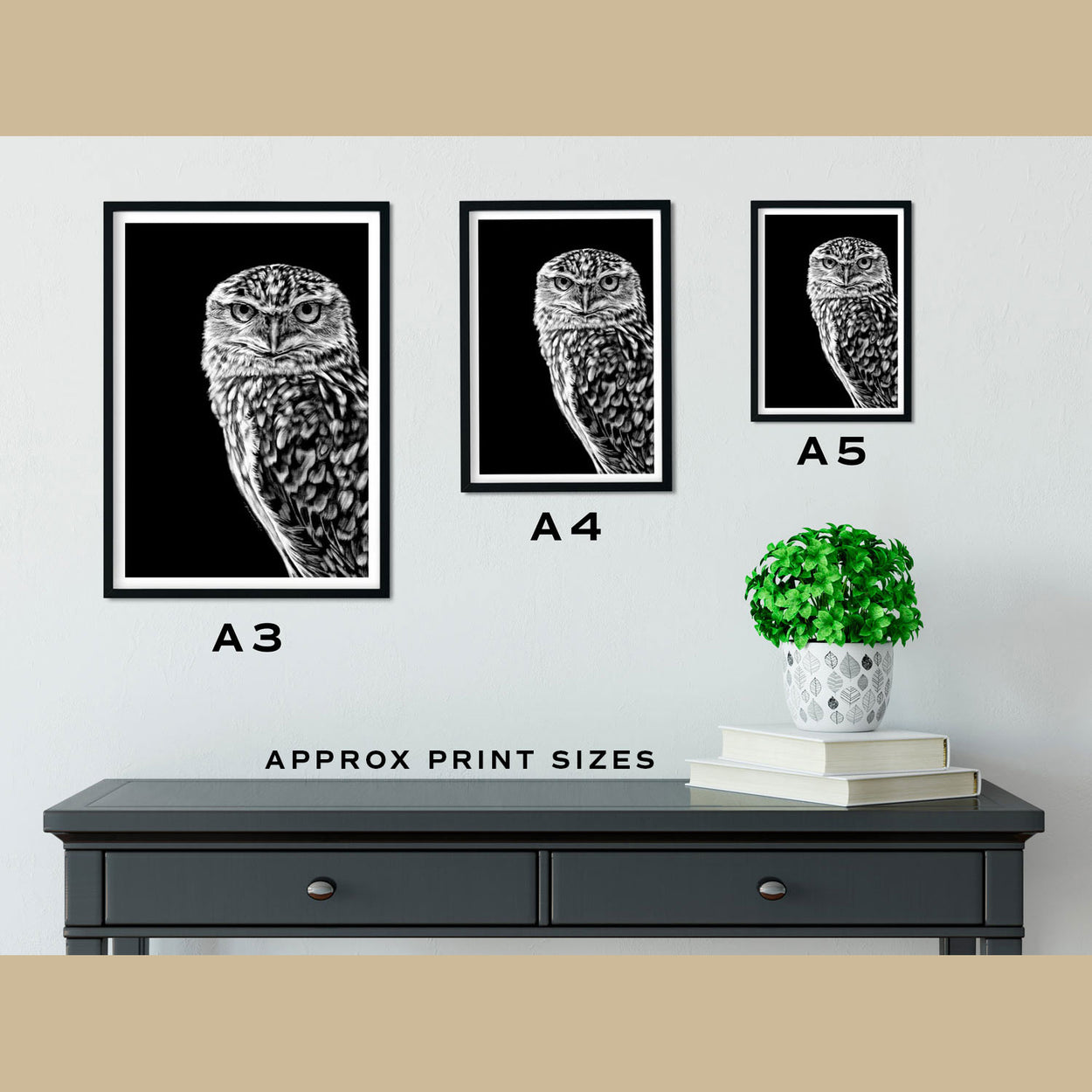 Burrowing Owl Prints Size Comparison - The Thriving Wild