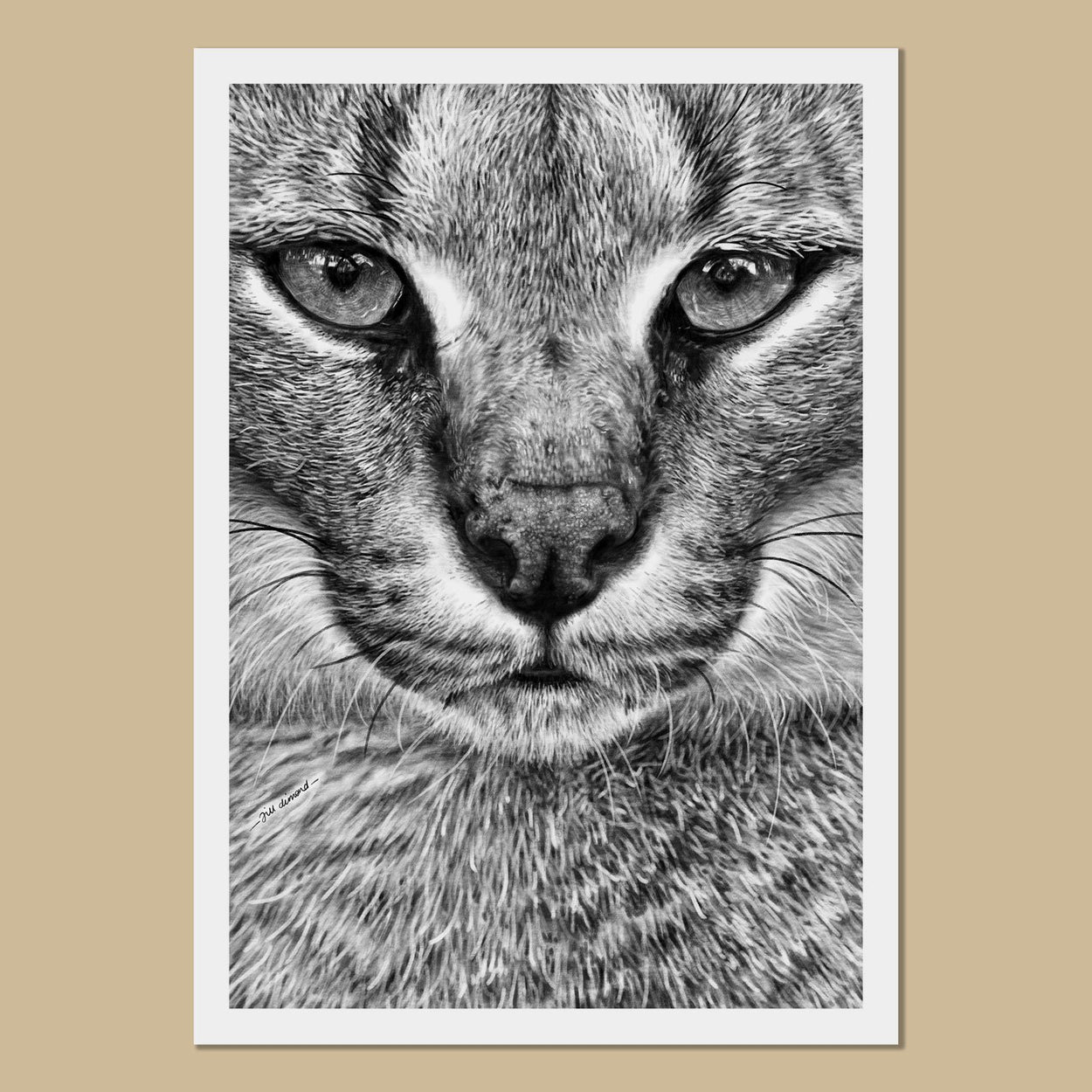 Caracal Art Prints - The Thriving Wild