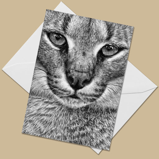 Caracal Greeting Card - The Thriving Wild