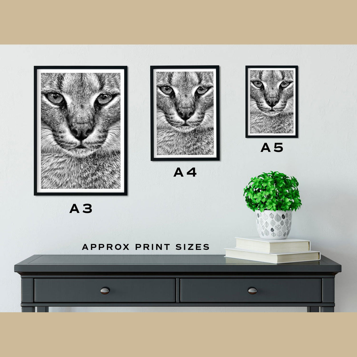 Caracal Prints Size Comparison - The Thriving Wild.jpg