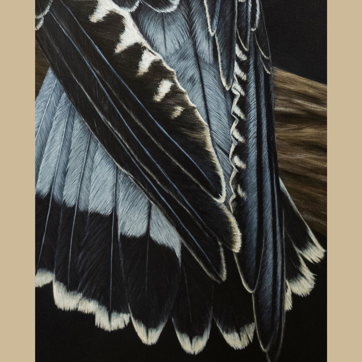 Common Kestrel Painting - Falco Tinninculus - Bird Art by Jill Dimond - Close-up 3