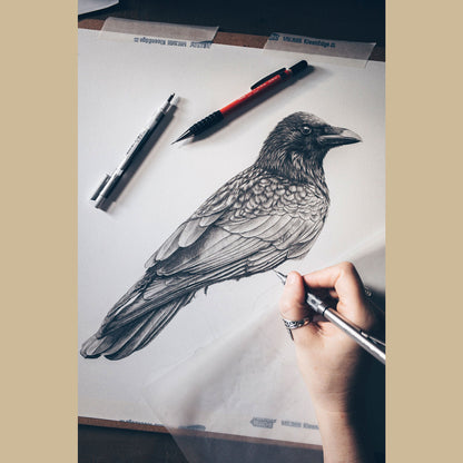 Crow Art Prints (Corvus Corone)