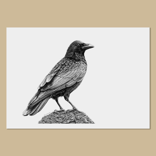 Crow Art Prints - The Thriving Wild