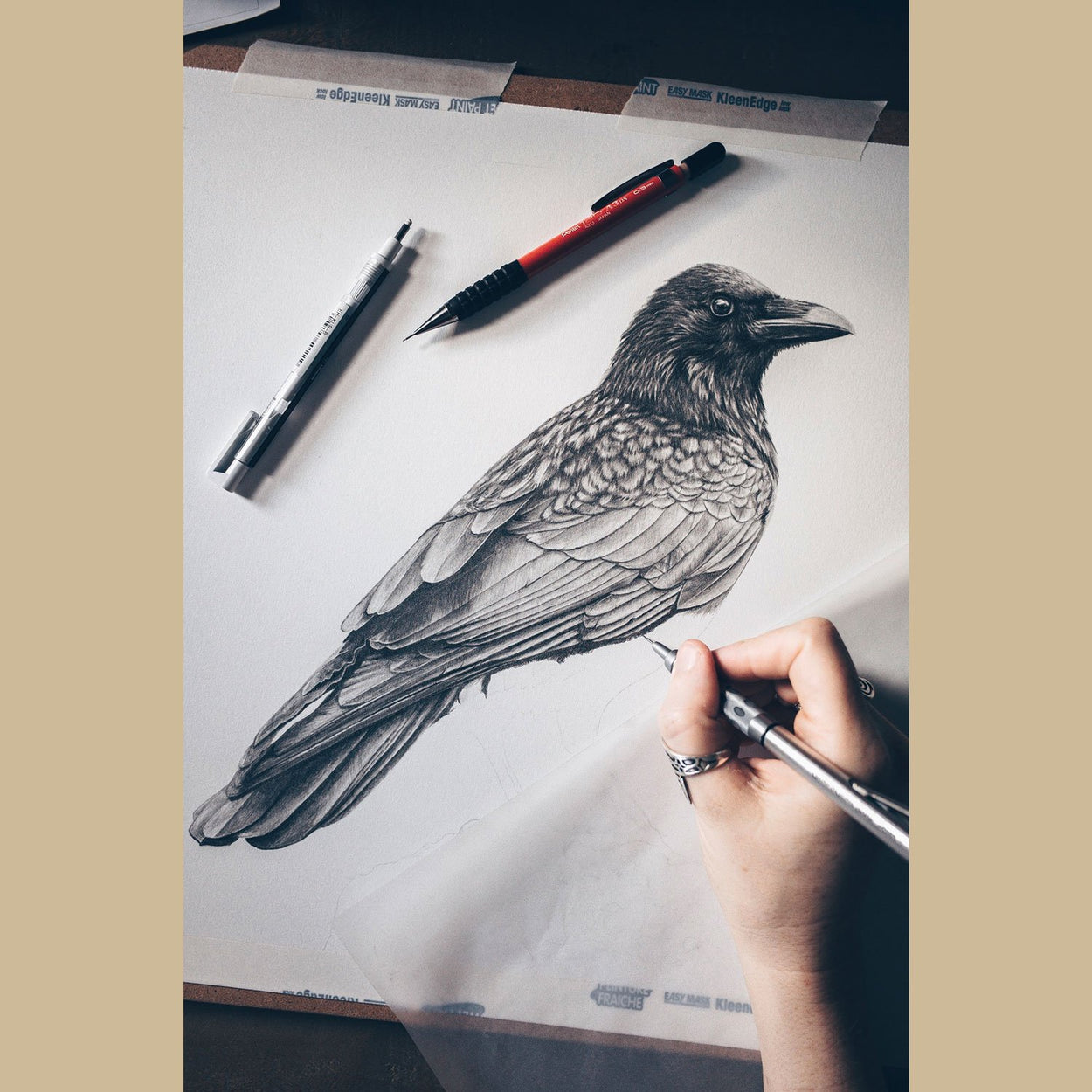 Crow Drawing In Progress - The Thriving Wild