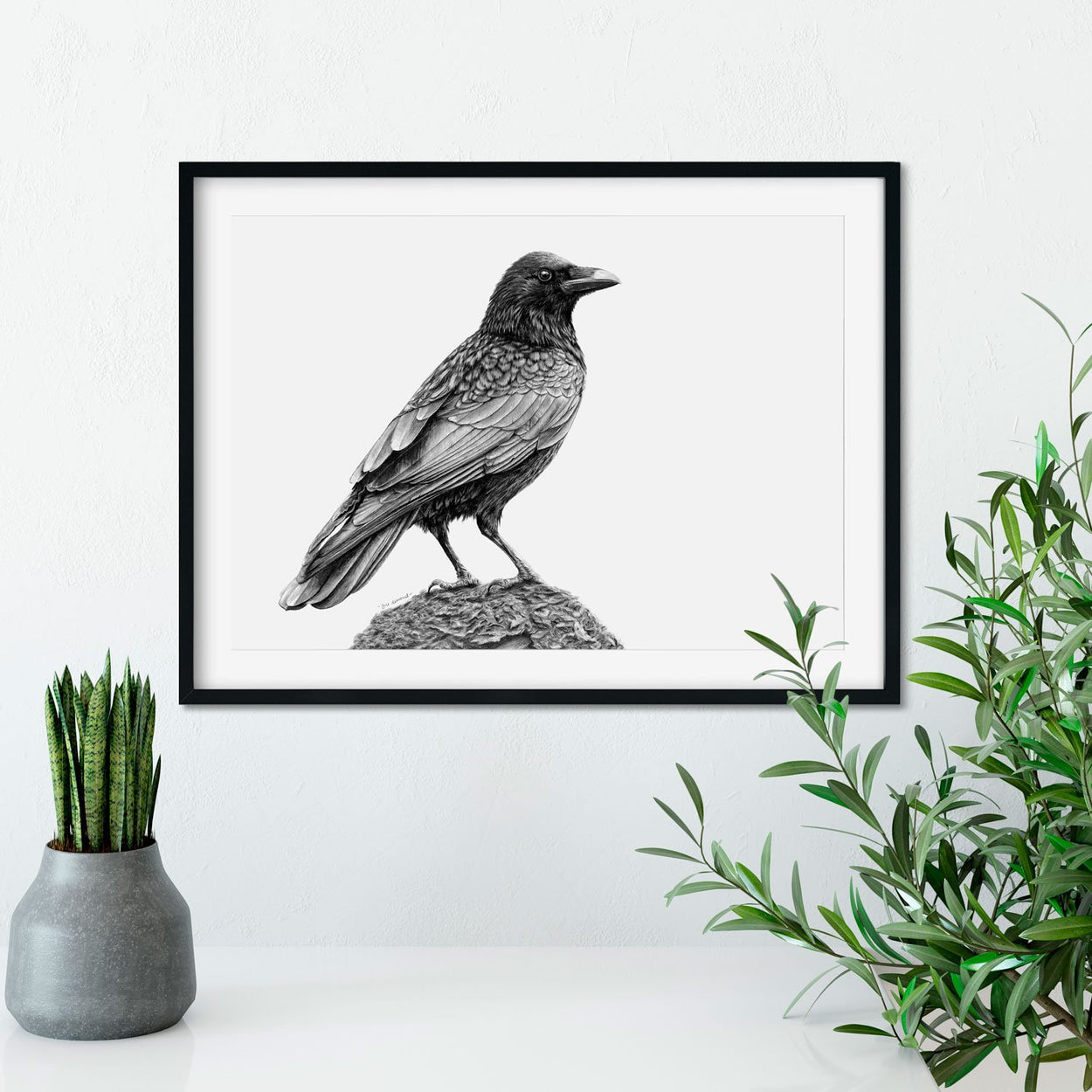 Crow Pencil Drawing on Wall - The Thriving Wild